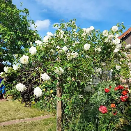 Holiday home Gartower *